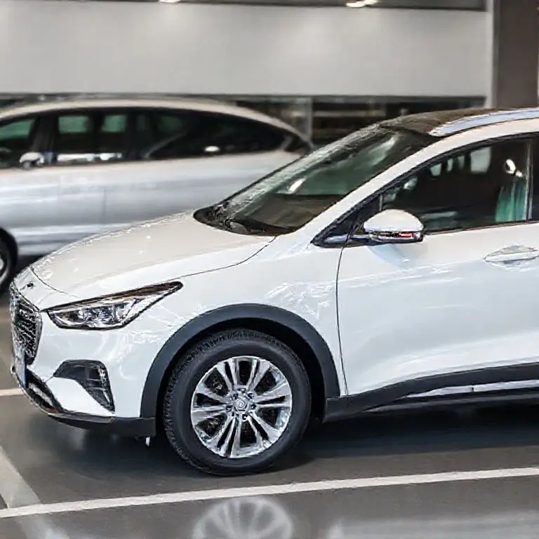 최종 점검: 제주 렌터카, 현명한 결정을 위한 균형 평가